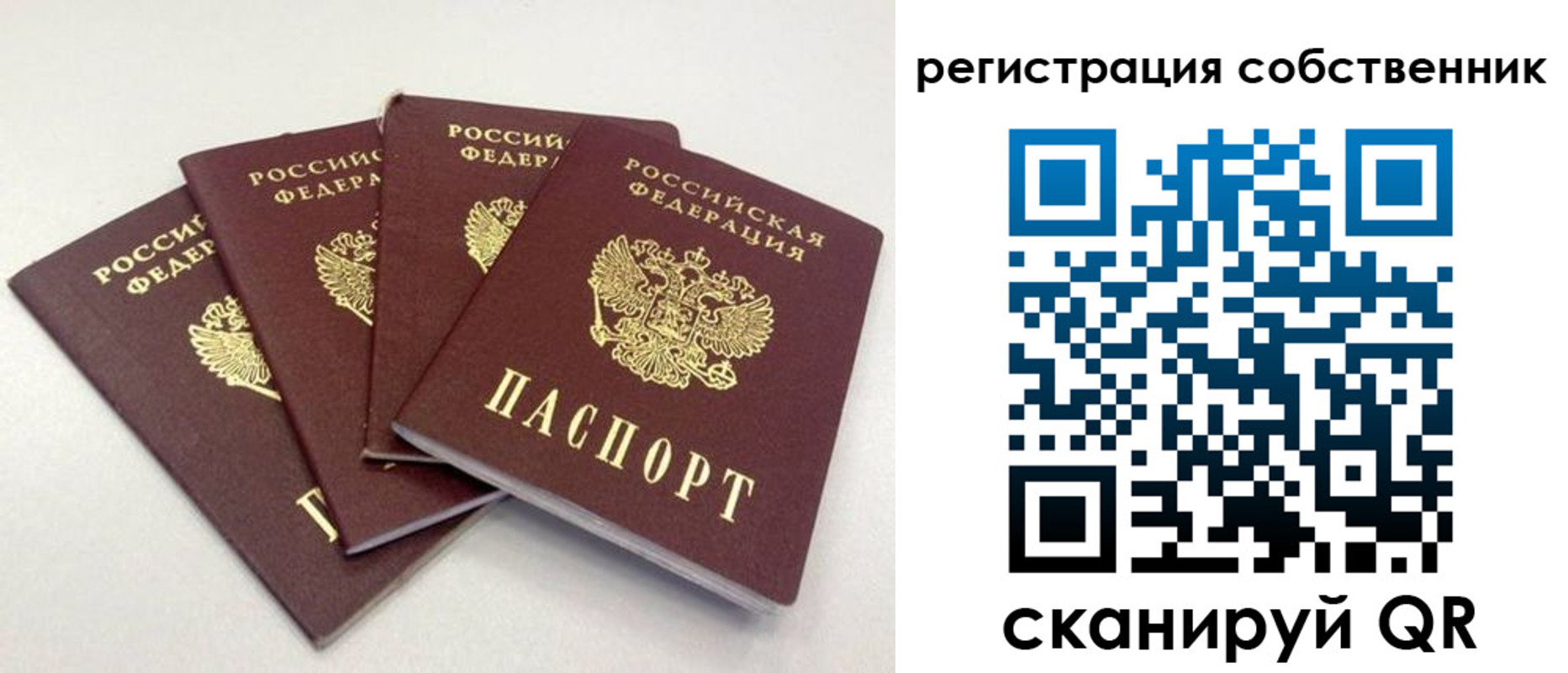 прописка для школы в Чаплыгине